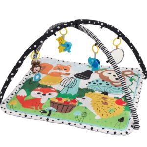 אוניברסיטת פעילות לתינוק KONIG KIDS – חיות היער